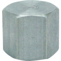 Anvil International Anvil Galvanized Cap, Case of 8