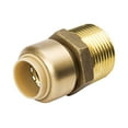 thumbnail image 1 of Anvil International Proline Brass Push Fit x MPT Adapter, 1 of 3