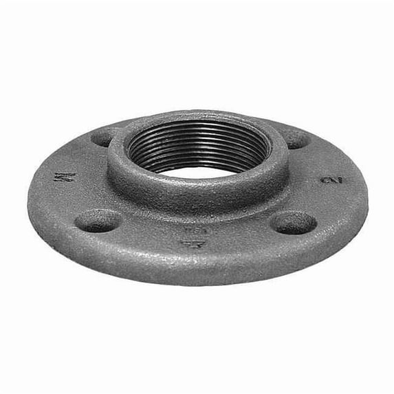 Floor Flange Floor Flange, 2" Pipe, Flanged x FNPT, Malleable Iron, Class 150