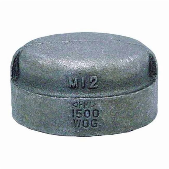 Cap Cap, 1" Pipe, FNPT, Malleable Iron, Class 3000 0318901345