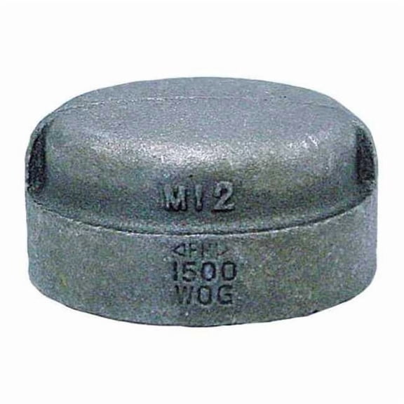 Cap Cap, 3/4" Pipe, FNPT, Malleable Iron, Class 3000 0318901329