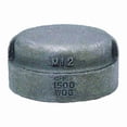 thumbnail image 1 of Anvil Cap Cap, 3" Pipe, FNPT, Malleable Iron, Class 3000 0318901428, 1 of 2