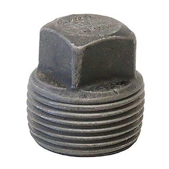 Anvil Plug, Steel, Threaded 2 in 0361308133