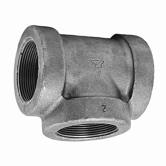 Tee Tee, 1" Pipe, FNPT, Cast Iron, Class 125 0300032000