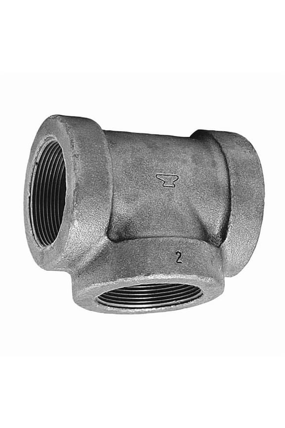 Tee Tee, 2" Pipe, FNPT, Cast Iron, Class 125 0300032604