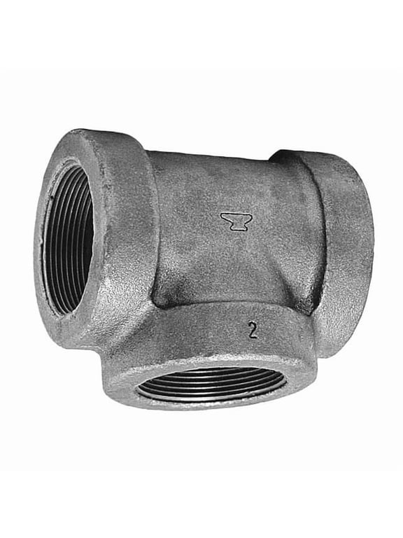 Tee Tee, 2" Pipe, FNPT, Cast Iron, Class 125 0300032604