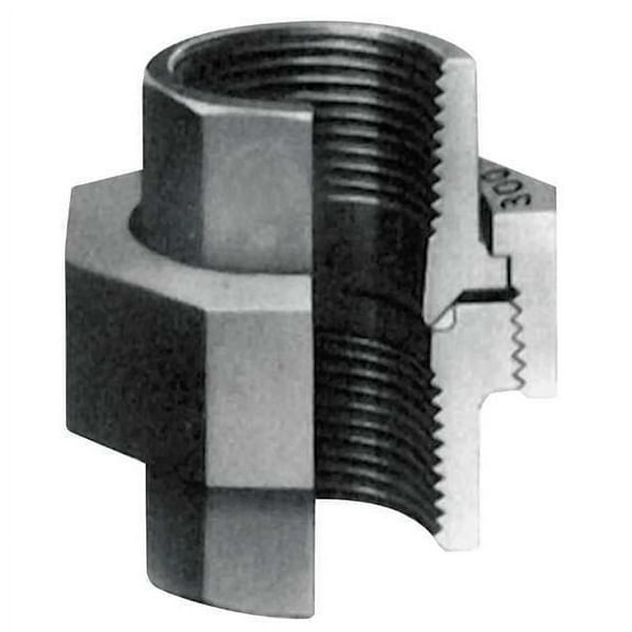 Anvil Union Union, 2" Pipe, FNPT, Malleable Iron, Class 300 0312822760