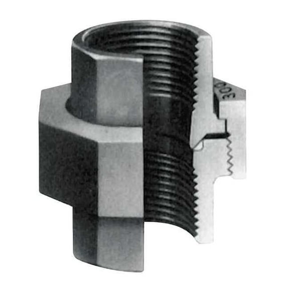 Anvil Union Union, 2" Pipe, FNPT, Malleable Iron, Class 300 0312822760