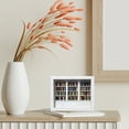 thumbnail image 1 of Anxiety Bookshelf Mini Books – Compact Decorative Shelf with 200 Mini Books for Home, Living Room & Anxiety Relief, 1 of 3