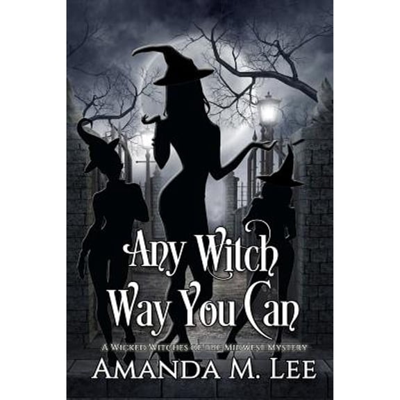Pre-Owned Any Witch Way You Can (Paperback) 1481274708 9781481274708
