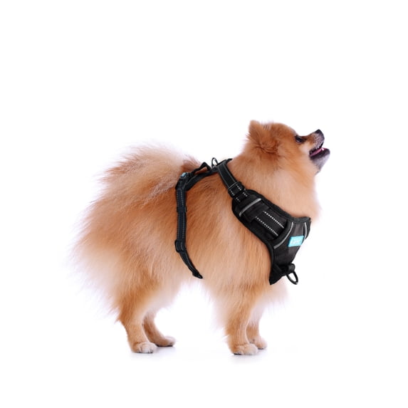 AnyPet Dog Harness, Extra Small No Pull Harness for Small Dogs