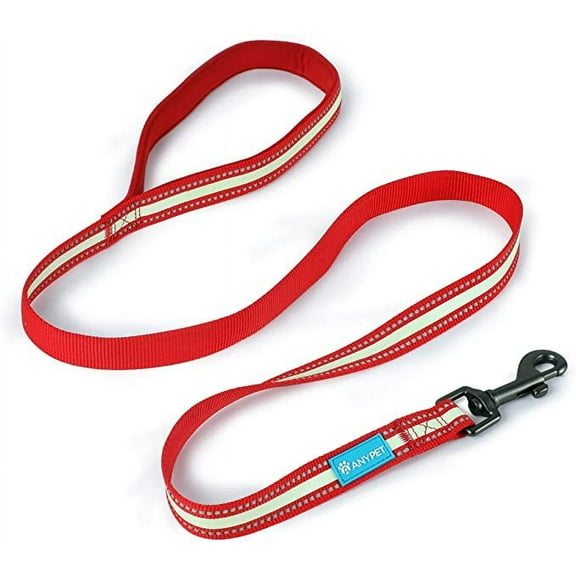 AnyPet Small Leash for Dogs & Cats, Red with White Stripe, Nylon 4 ft. Pet Leash