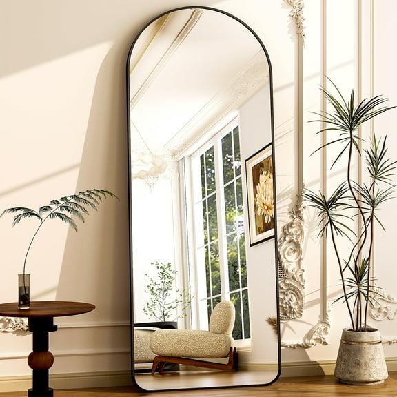 Anyrose 64"x21" Arched Full Length Mirror Floor Mirror with Stand Wall Mounted,Black