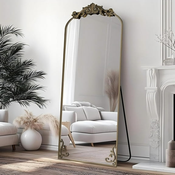 Anyrose 66"x 21" Vintage Mirror - Arched Full Length Mirror with Carved Metal Frame, Bronze