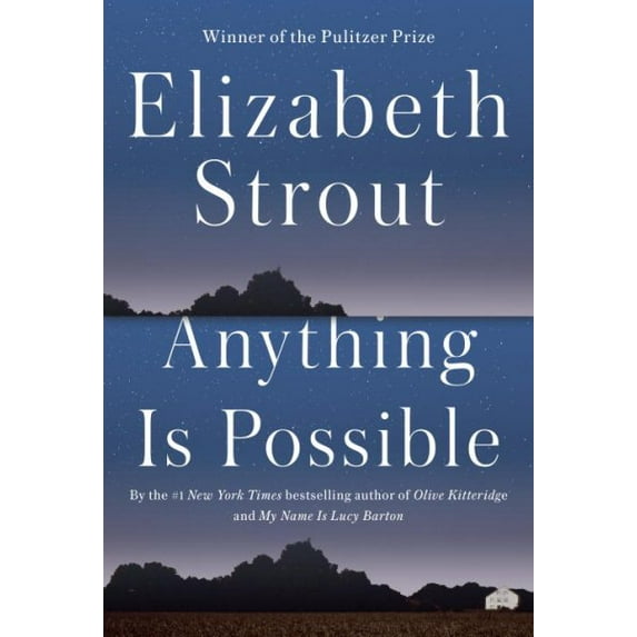 Anything Is Possible : A Novel (Hardcover)