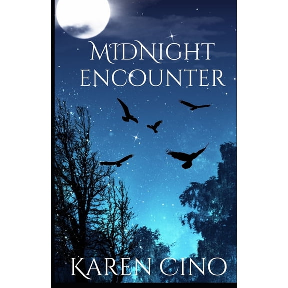 Anything's Possible Midnight Encounter, Book 3, (Paperback)
