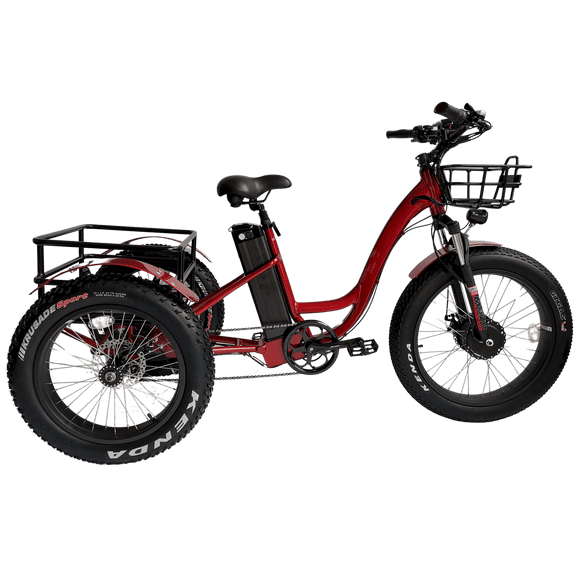 Anywhere Anytime Big Tire Electric Tricycle - Your Ultimate Fat Tire Trike Experience
