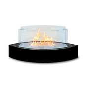 Anywhere Fireplace