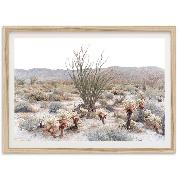 Anza Borrego Desert Cactus Wall Art Home Decor