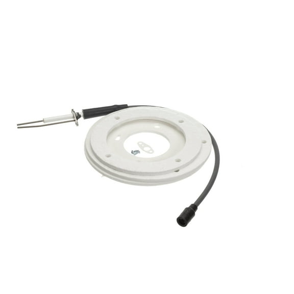 Ao Smith Water Heater Ignitor 100191120 - Genuine OEM Replacement Part