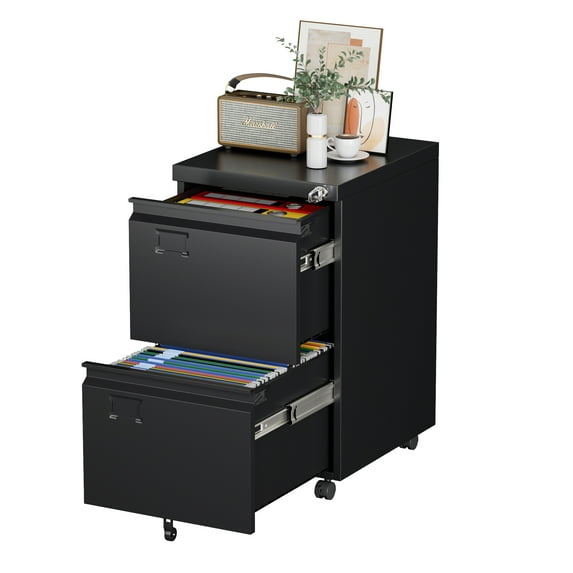 Aobabo 2 Drawer Metal Vertical File Cabinet with Wheels & Lock,Office Home Steel Mobile File Cabinet for A4 Letter/Legal Size, Assembly Required,Black