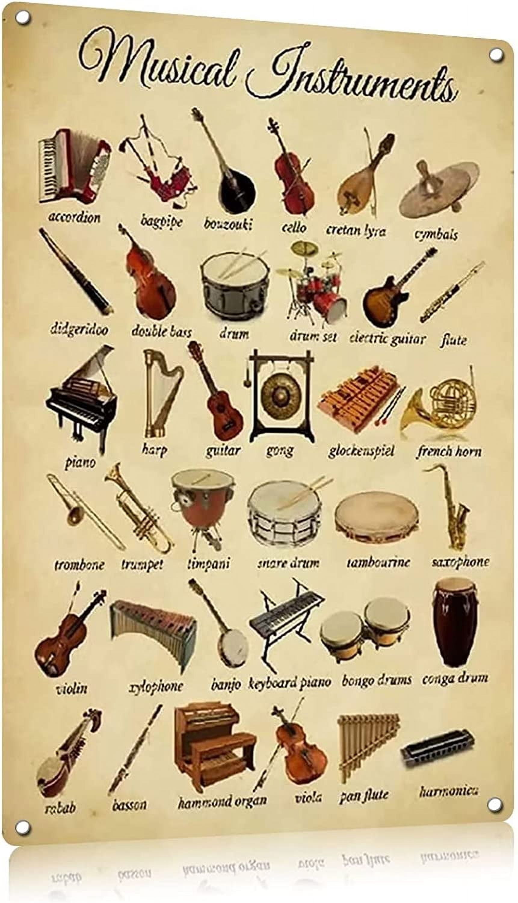 AociSuki Musical Instruments Metal Sign Poster Suitable For Concert ...