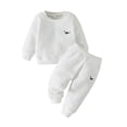 thumbnail image 1 of Fgnfyis Boys Outfit Sets Dinosaur Long Sleeve Hoodie and Pants Set Casual Comfortable Toddler Clothes for Daily Wear White 6-9 Months, 1 of 9