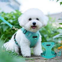 Aodebiao Cat Harness and Leash for Walking, Kitten Escape Proof Harnesses, Adjustable Reflective Puppy Harness with Leashes Set, Easy Adjustable Soft net Breathable Pet Safety Vest