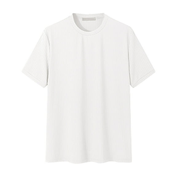 Aofany Men's Thin Daily T Shirt Casual Loose Crewneck Short Sleeved Tops Summer Basic Blouse