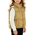 thumbnail image 1 of Aofany Puffer Vest for Toddler Kids Girls Zip up Stand Collar Sleeveless Thermal Warm Jacket Padded Lining Outerwear with Side Pockets 2-15 Years, 1 of 7