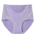 thumbnail image 1 of Aofany Women's Solid Plus Size High Waist Lace Panties Leak Proof Cotton Underwear Briefs, 1 of 3