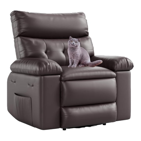 Aoile Oversized Recliner Chair, Large Manual Recliner with Side Pockets for Adults, Coffee