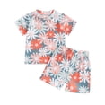 thumbnail image 1 of Aojekbee Kids Girls Shorts Set, Chicken Cow Flower Print Short Sleeve T-shirt with Shorts Summer Outfit, 1 of 10
