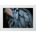 thumbnail image 1 of Aoki, Juri 14x11 White Modern Wood Framed Museum Art Print Titled - Feather, 1 of 4