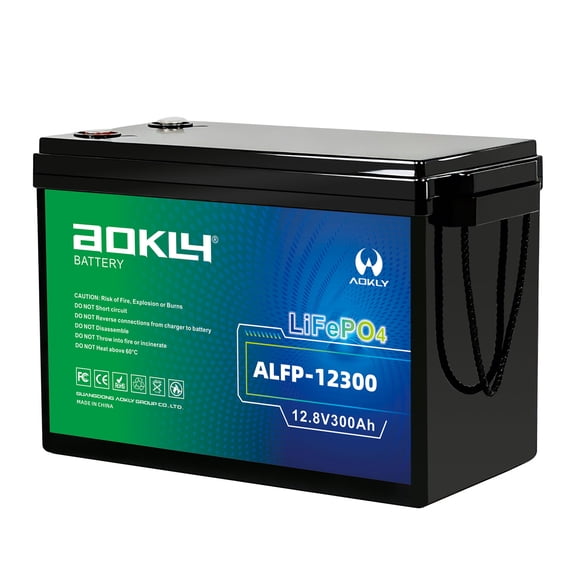 Aokly Mini 12V 300AH LiFePO4 Battery 200A BMS 15000+ Cycles Low-Temp Cut Off, 3840Wh Lithium Battery for RV,  Off-Grid, Buckup Power, Solar