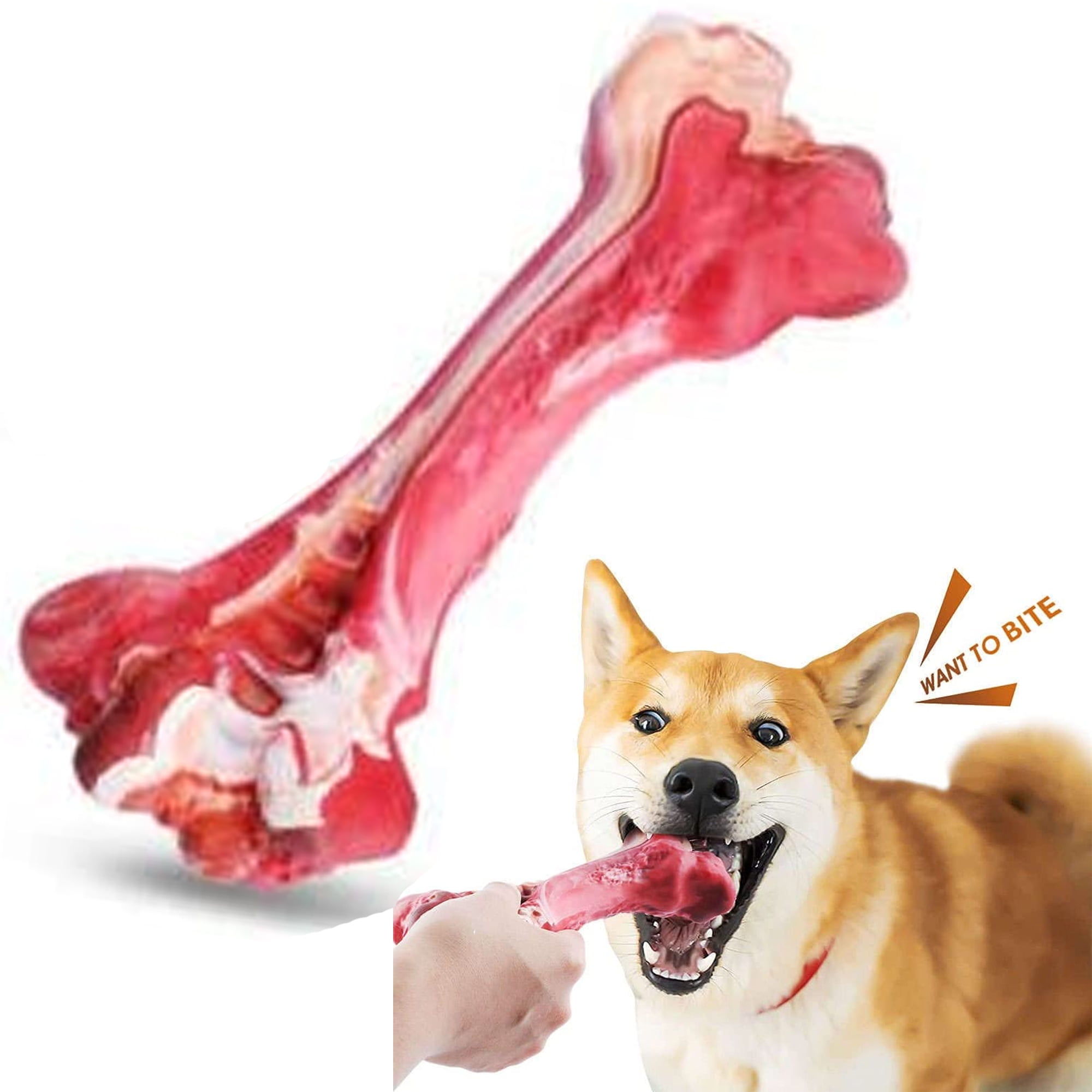 KONG® Goodie Bone™ Dog Toy - Small