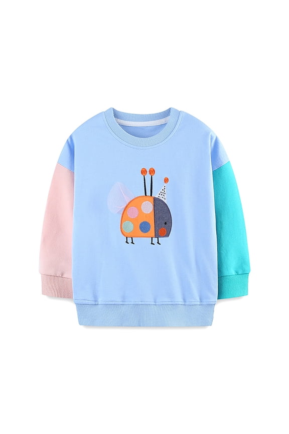Girls Sweatshirts Pullover Clothes 6T