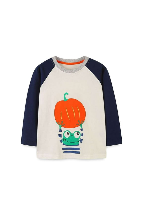 Little Boys Cotton Sweatshirt For Autumn 4T