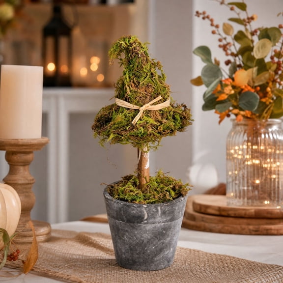 Aonerit 8in Witch Hat Topiary, Halloween Potted Tree Decor, Dried Botanical Ornament, Gothic Mantel Shelf Display, Indoor Holiday Decoration