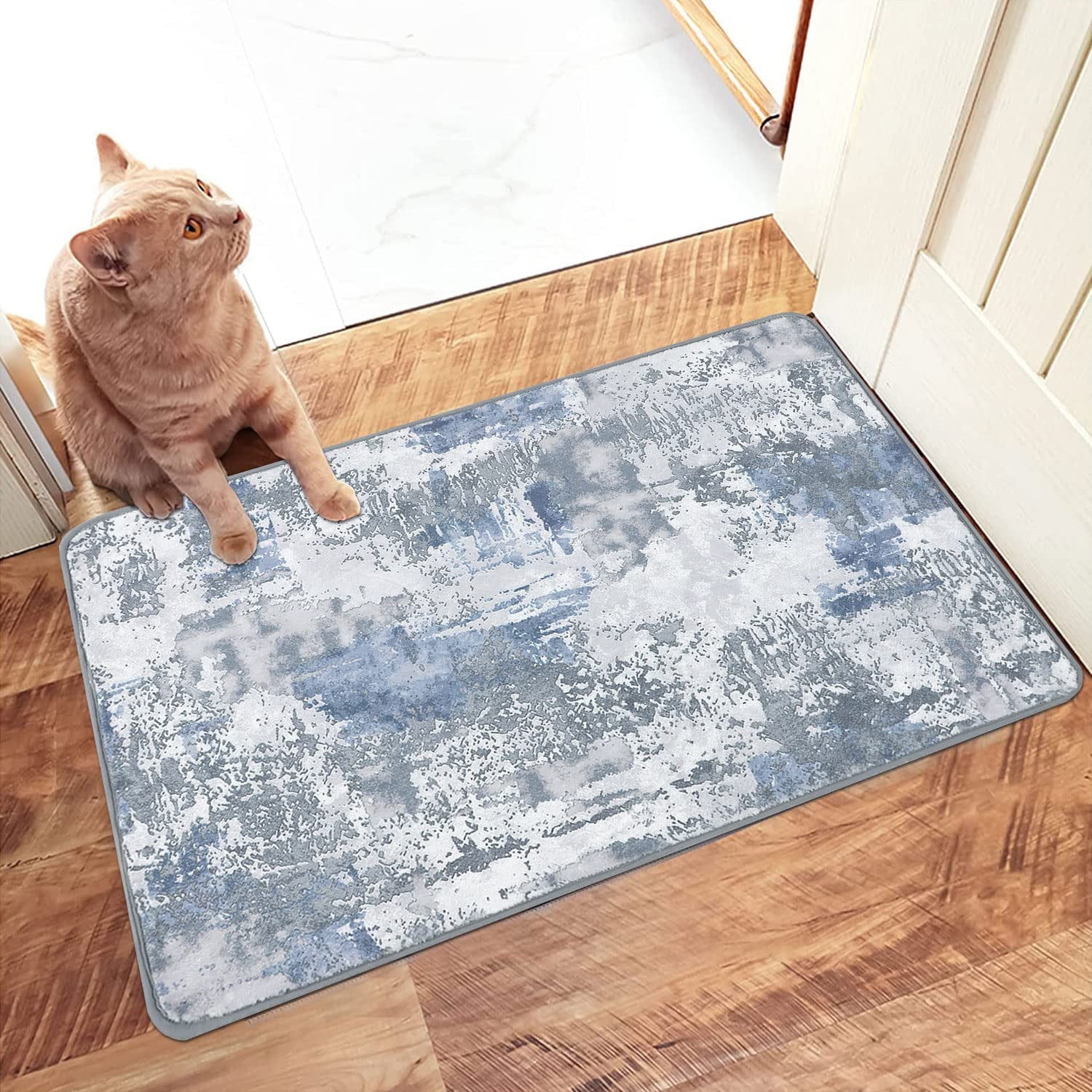 Aonewoe 2x3 Modern Abstract Small Area Rug Entryway Rugs Soft Washable ...