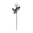 thumbnail image 1 of Aonity Single Artificial Rose with Stem, White， Champagne Roses Artificial Flowers Silk Flowers Realistic Faux Roses Bouquet Long Stem for Wedding Home Birthday Decoration, 1 of 6