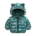 thumbnail image 1 of Aoochasliy Coats for Girls Boys Casual Toddler Kids Baby Trendy Cute Cartoon Dinosaur Pattern Windproof Padded Clothes Jacket Hooded Coat, 1 of 5