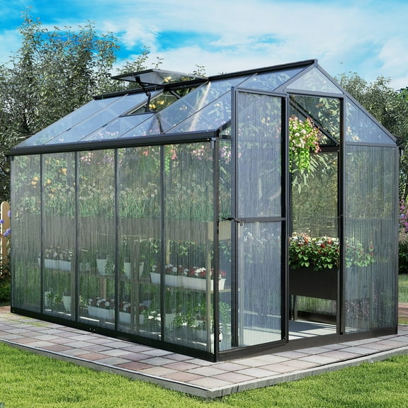 Aoodor 6' x 10' Outdoor Greenhouse, Walk-in Polycarbonate Greenhouse with Aluminum Frame for Outside Backyard, Black