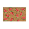 Aoorsake Outdoor Rug Decorative Door Mat Bathroom Mat Door Mat