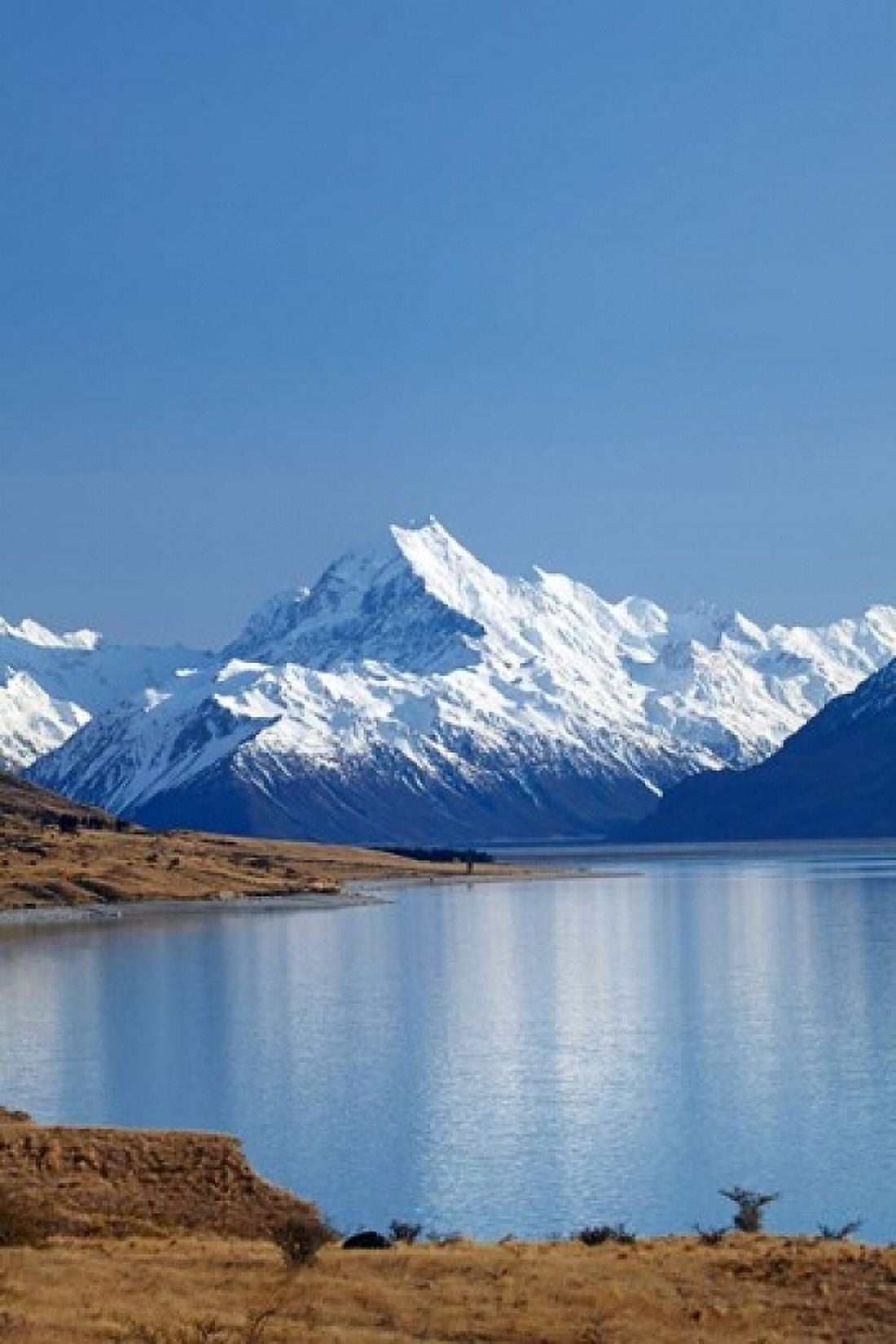 Aoraki Mount Cook and Lake Pukaki Mackenzie Country South Canterbury South Island New Zealand Canvas Art - David Wall DanitaDelimont (18 x 24)