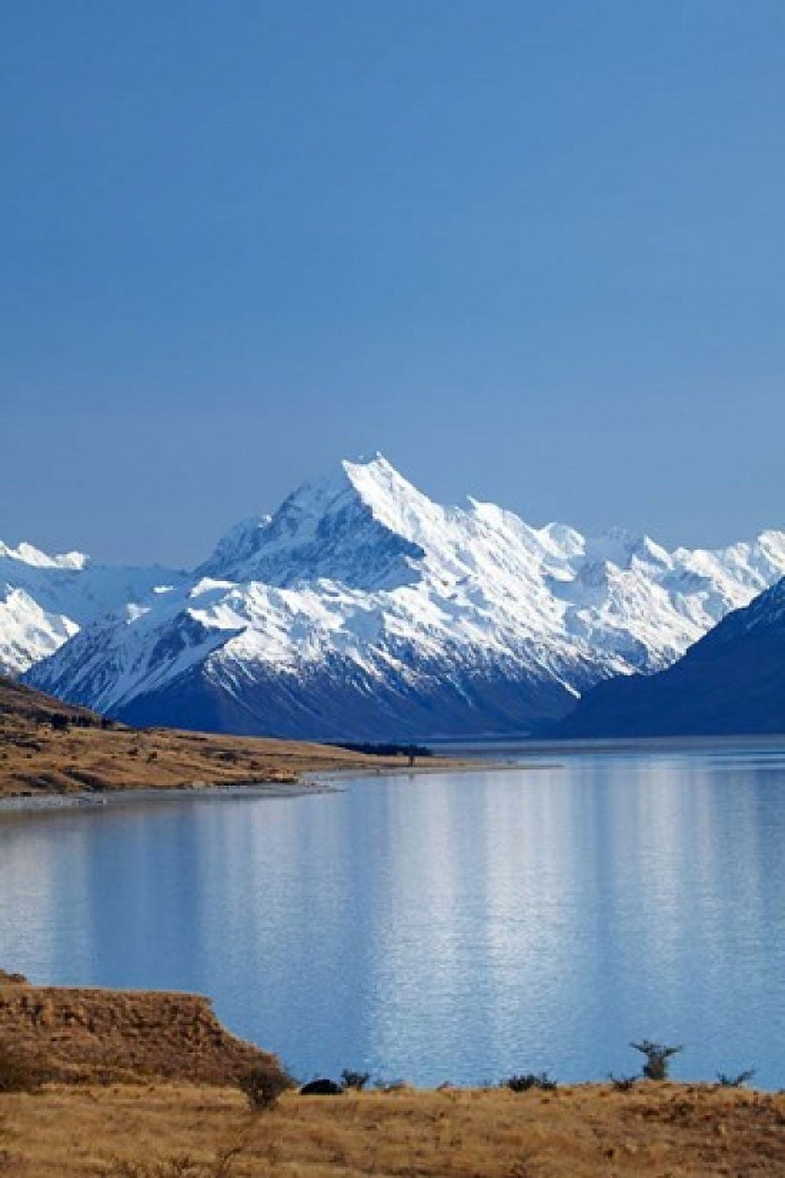 Aoraki Mount Cook and Lake Pukaki Mackenzie Country South Canterbury South Island New Zealand Canvas Art - David Wall DanitaDelimont (25 x 38)