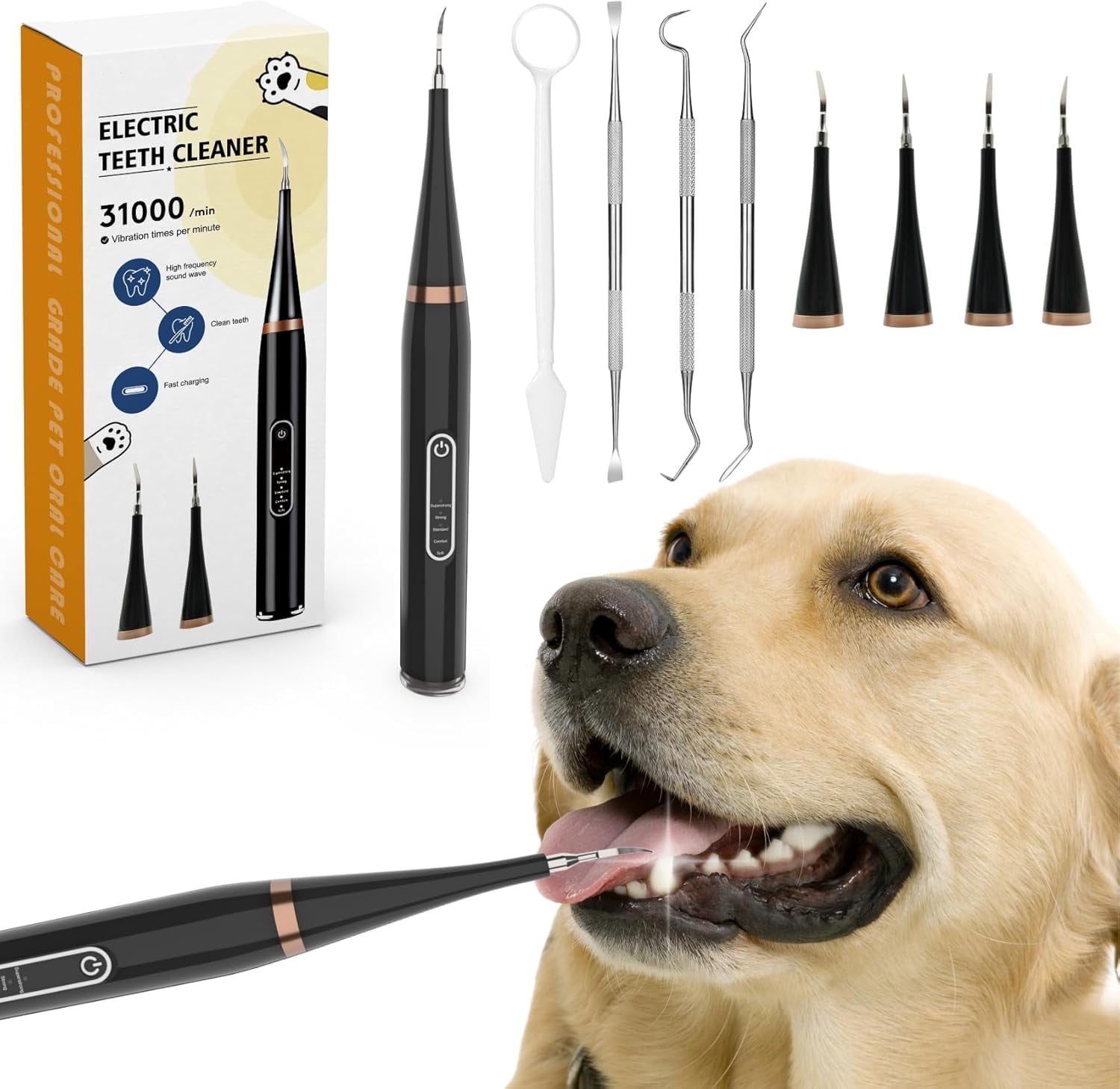 Aorsher Dog Plaque Remover for Teeth, Electric Toothbrush for Dogs Pet Brush Set, Electric Five Modes 4 Cleaning Heads, Effective Care of Teeth, Pet Must Have, Help Dog Oral Health