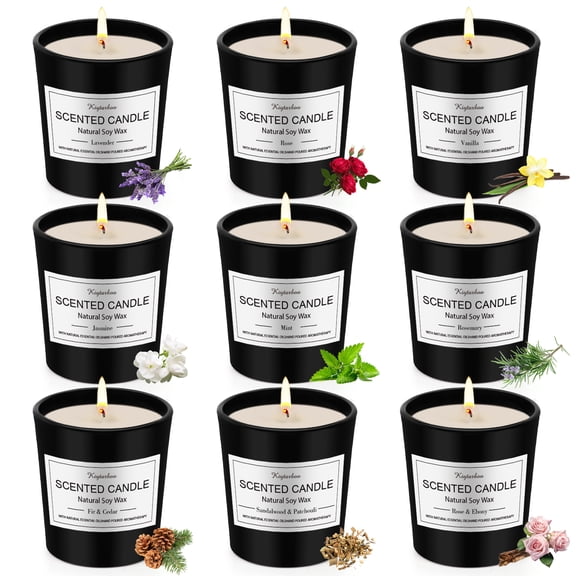 Giphtpoeet 9 Pack Scented Candles 2.5 oz Each Soy Wax Black Jar Candles for Men Fathers Day Birthday Valentines Day Gift