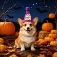 thumbnail image 1 of Aoznliie Dog Hat, Funny Adjustable Halloween Hat for Party Apparel, 4x4 inch Lightweight Pet Party Hat for Halloween Photo Props, Purple, 1 of 6