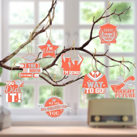 Aoznliie Graduation Hanging Decorations, 8 Piece Set Graduation Hanging Swirls for Grad Party Supplies
